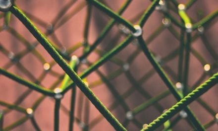 Start-up versnelling en professionalisering