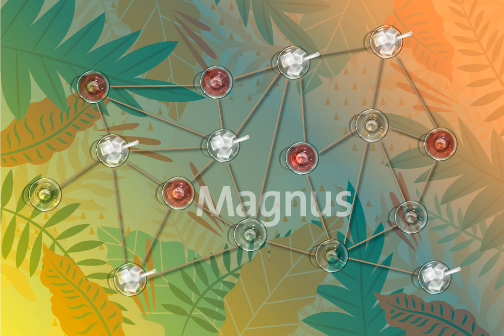 Magnus-MIX-coctail-predictive-analitics
