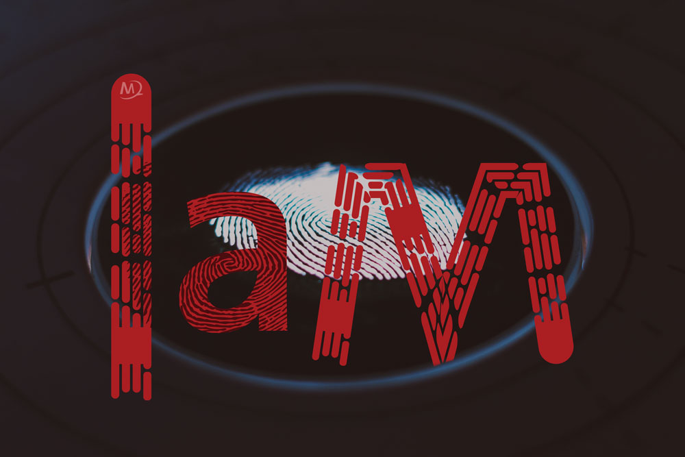 Magnus-Digital-Identity-and-Access-Management-IAM