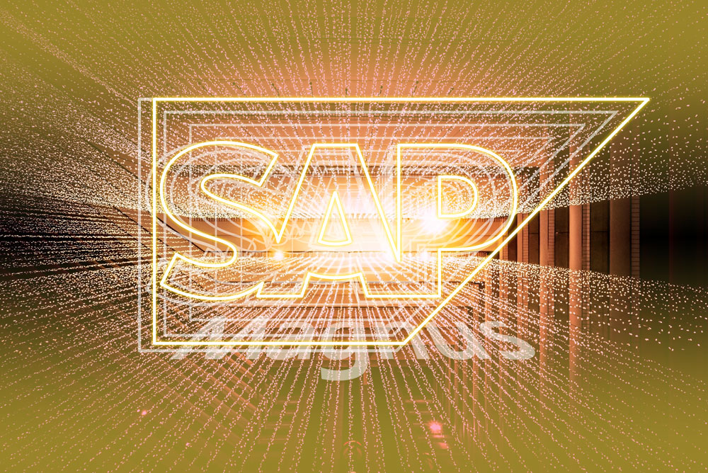 Magnus-Digital-SAP-Gold-Partner-The-digital-journey
