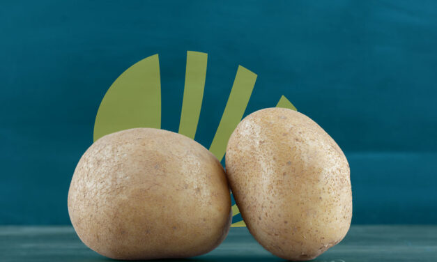 Hoe Magnus Meijer Potato helpt bij de toekomst van R&D
